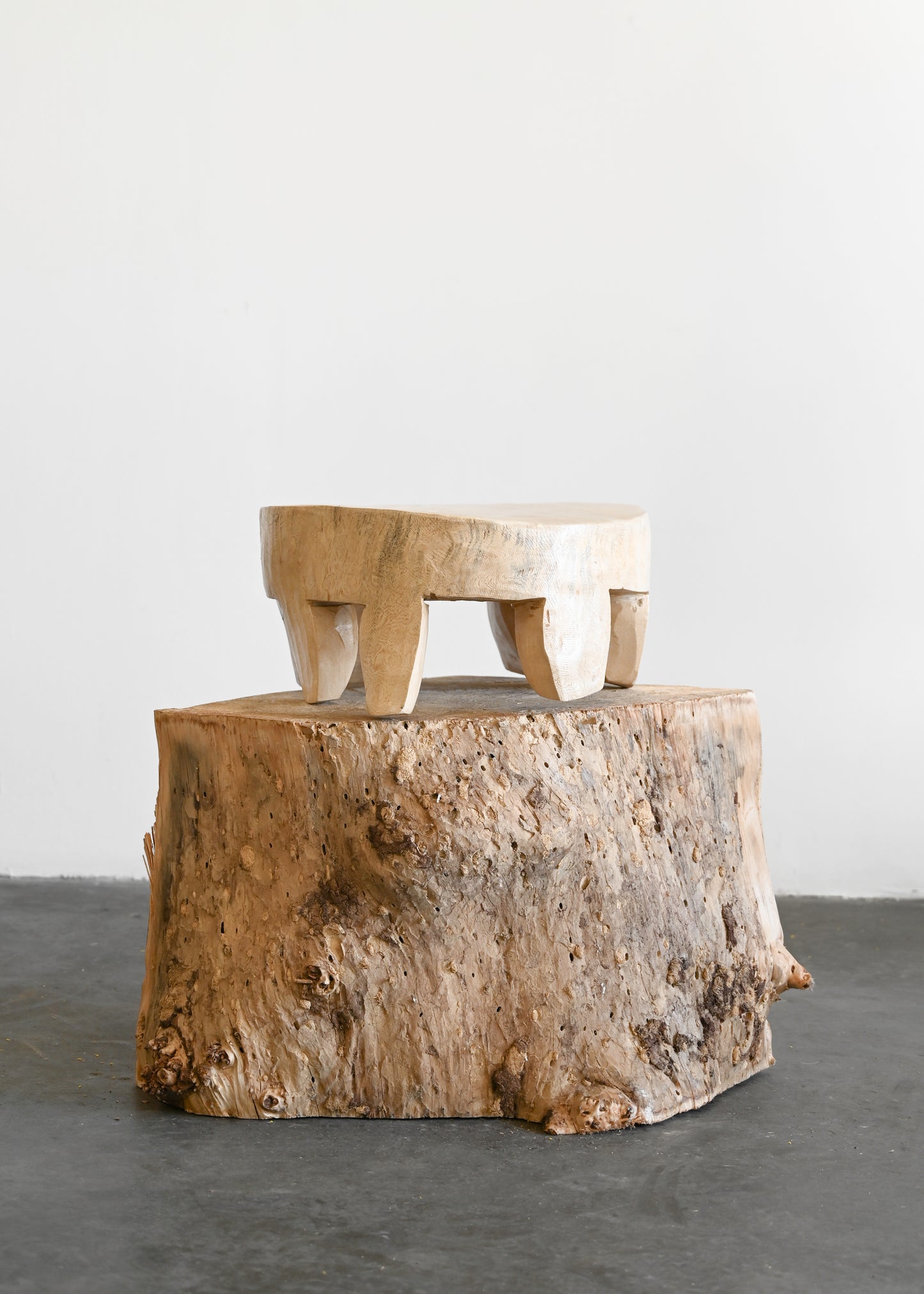 Eucalyptus Wood Sculptural Riser