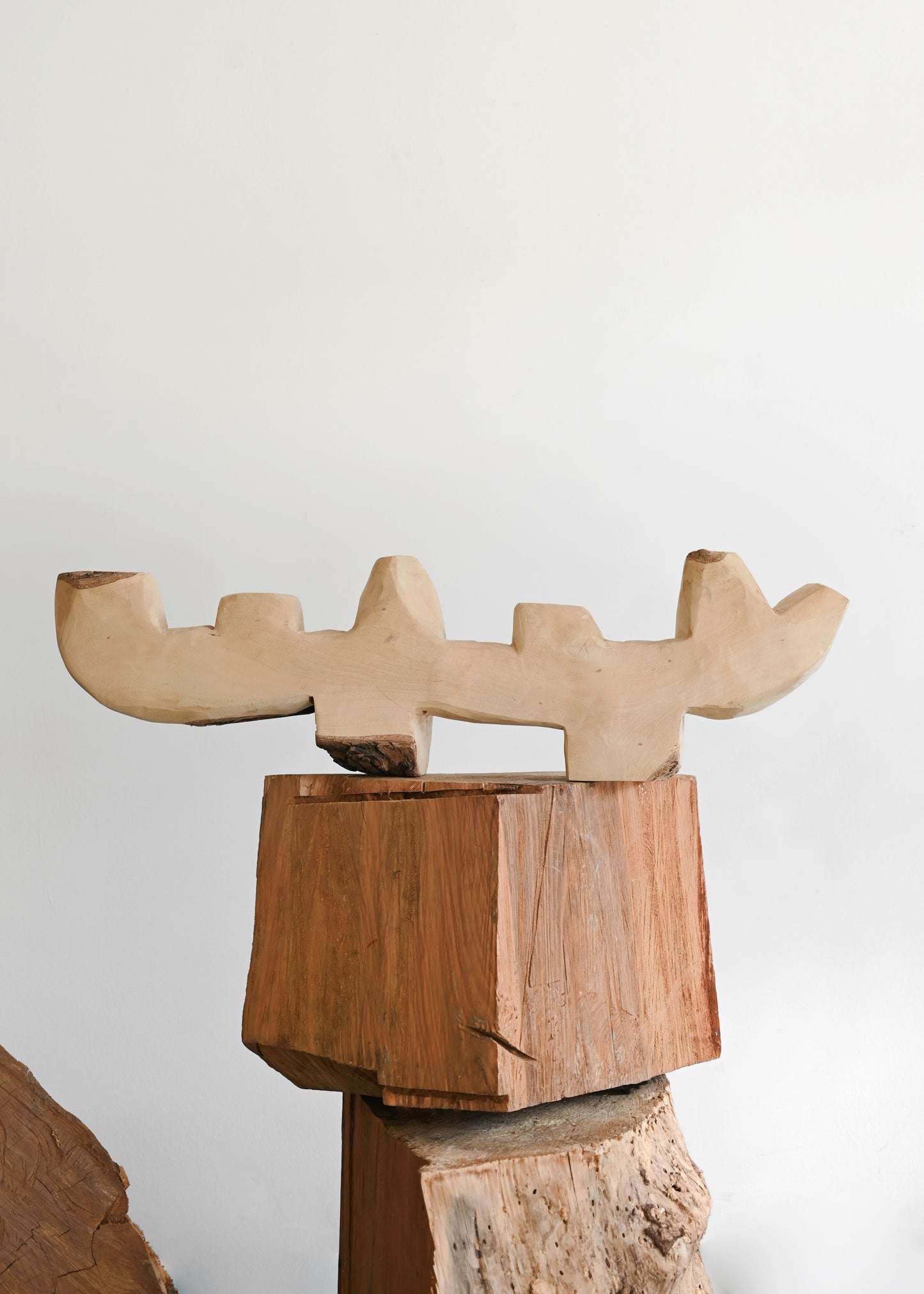 South African Blue Gum Candelabra