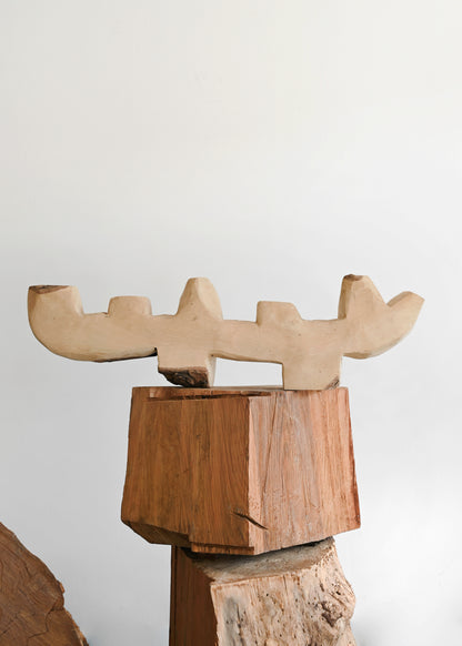 South African Blue Gum Candelabra