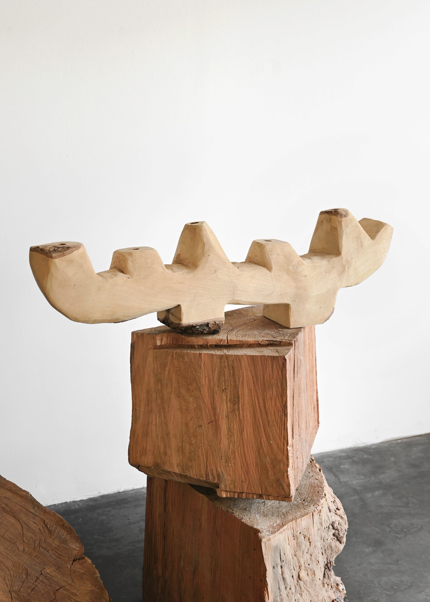 South African Blue Gum Candelabra