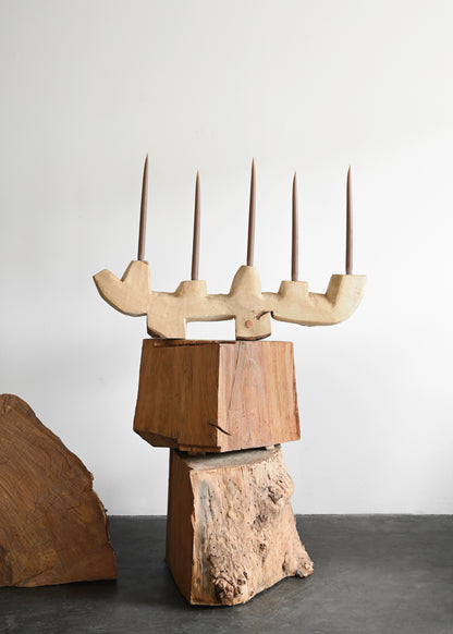 South African Blue Gum Candelabra
