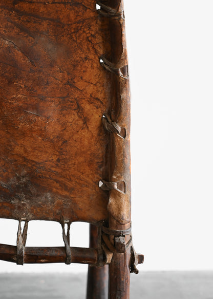 1910 Royal Ethiopian Chairs (set of 2)