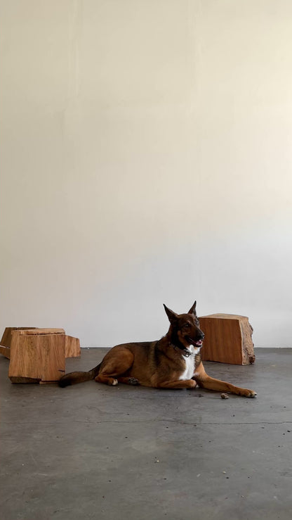 Tanzanian Sitting Stool