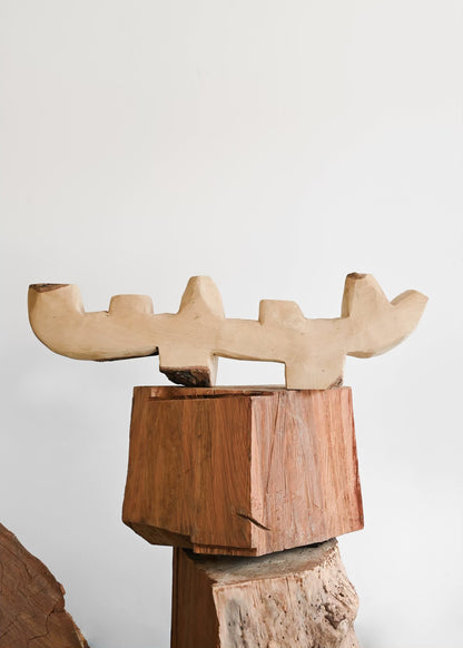 South African Blue Gum Candelabra